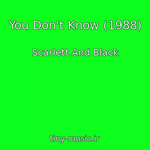 کاور آهنگ You Don't Know (1988) از Scarlett And Black