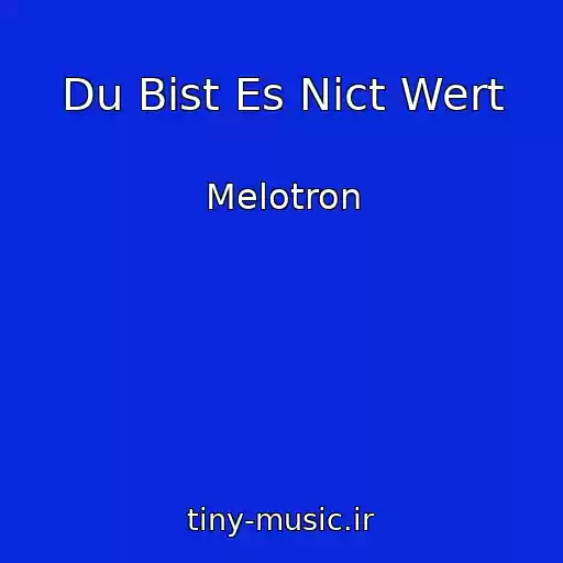 کاور آهنگ Du Bist Es Nict Wert از Melotron