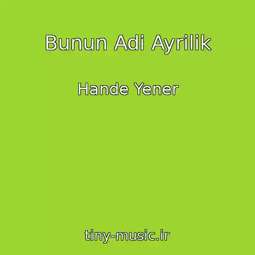 کاور آهنگ Bunun Adi Ayrilik از Hande Yener