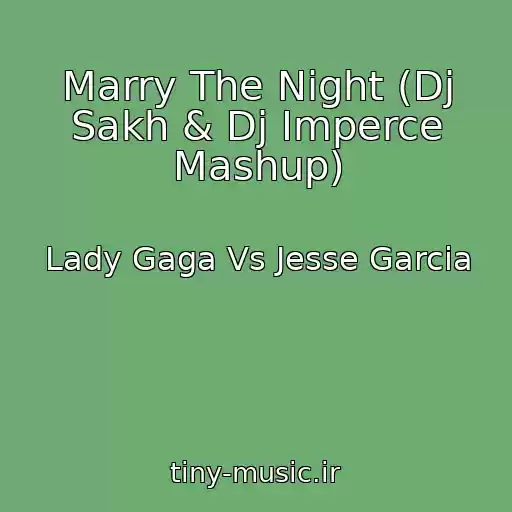 کاور آهنگ Marry The Night (Dj Sakh & Dj Imperce Mashup) از Lady Gaga Vs Jesse Garcia