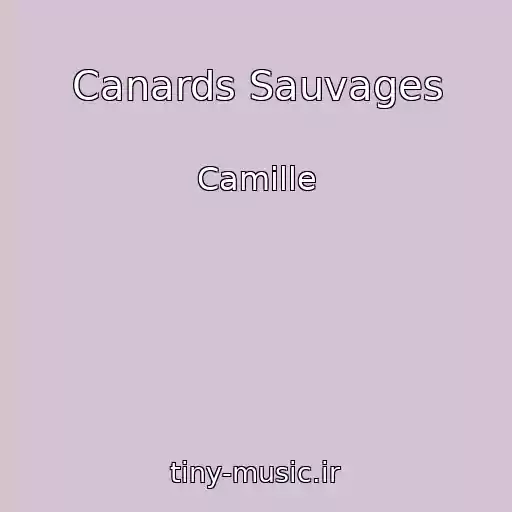 کاور آهنگ Canards Sauvages از Camille