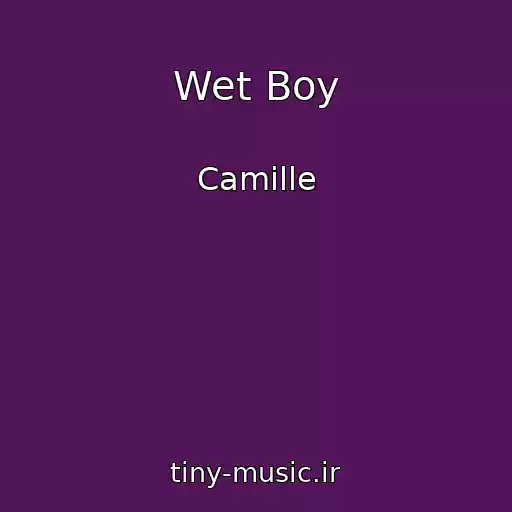 کاور آهنگ Wet Boy از Camille