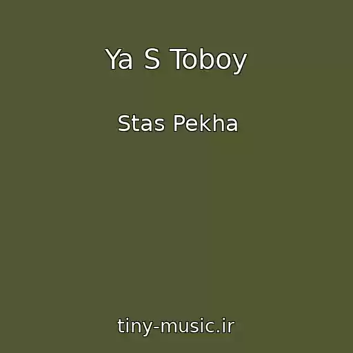 کاور آهنگ Ya S Toboy از Stas Pekha