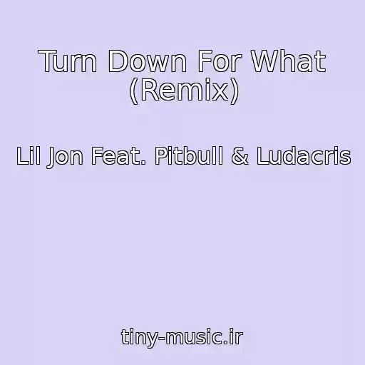 کاور آهنگ Turn Down For What (Remix) از Lil Jon Feat. Pitbull & Ludacris