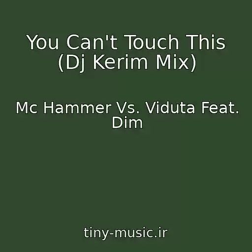 کاور آهنگ You Can't Touch This (Dj Kerim Mix) از Mc Hammer Vs. Viduta Feat. Dim