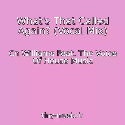کاور آهنگ What's That Called Again? (Vocal Mix) از Cn Williams Feat. The Voice Of House Music