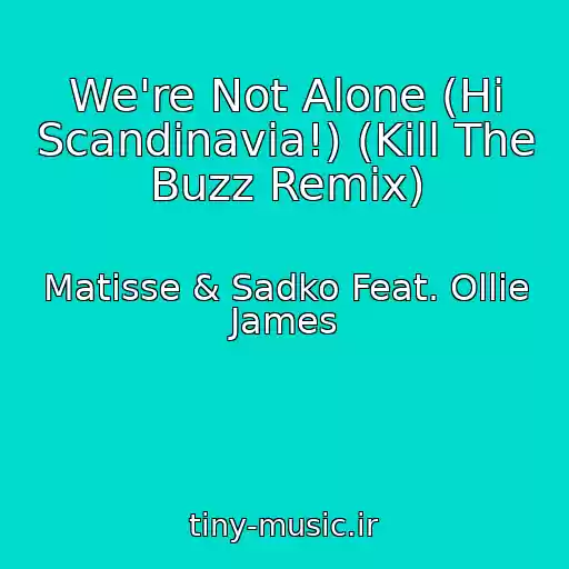 کاور آهنگ We're Not Alone (Hi Scandinavia!) (Kill The Buzz Remix) از Matisse & Sadko Feat. Ollie James