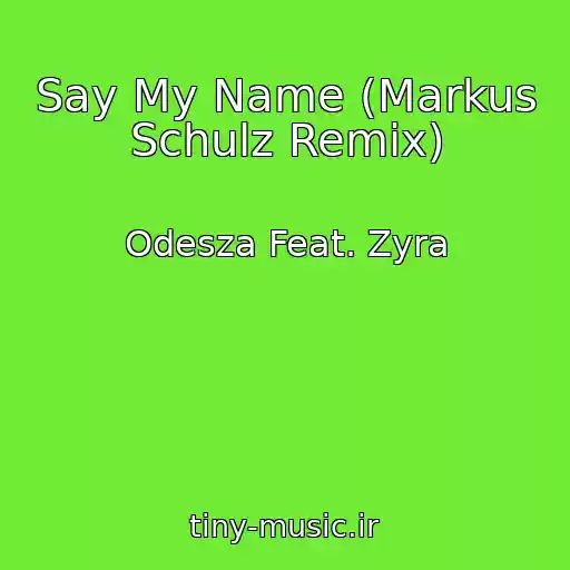 کاور آهنگ Say My Name (Markus Schulz Remix) از Odesza Feat. Zyra