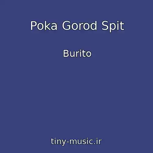 کاور آهنگ Poka Gorod Spit از Burito