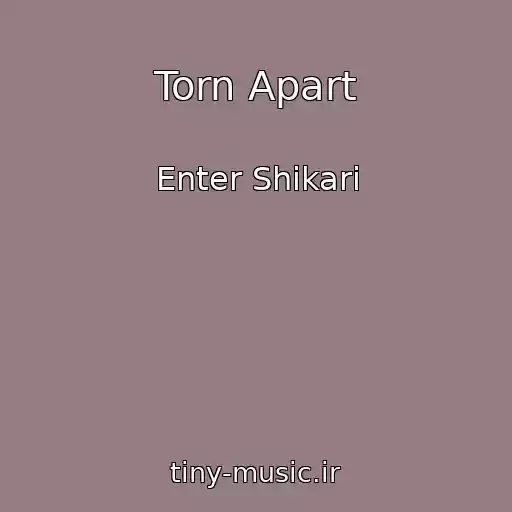 کاور آهنگ Torn Apart از Enter Shikari