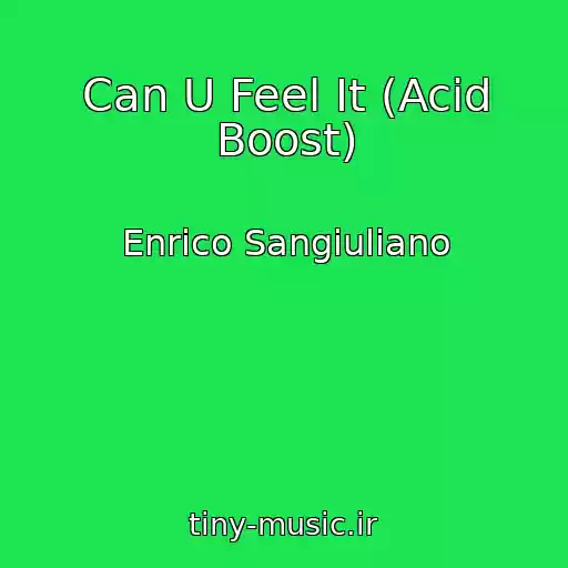 کاور آهنگ Can U Feel It (Acid Boost) از Enrico Sangiuliano