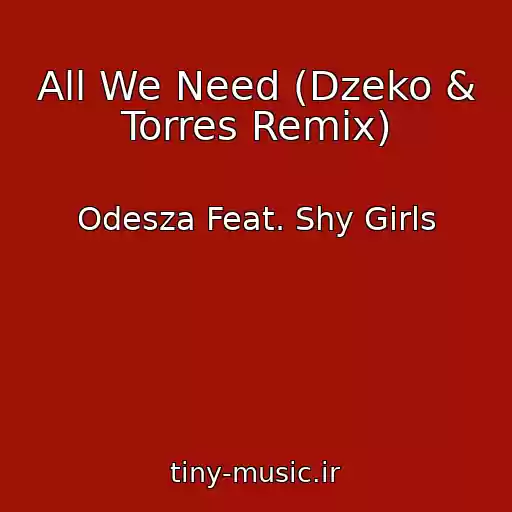 کاور آهنگ All We Need (Dzeko & Torres Remix) از Odesza Feat. Shy Girls