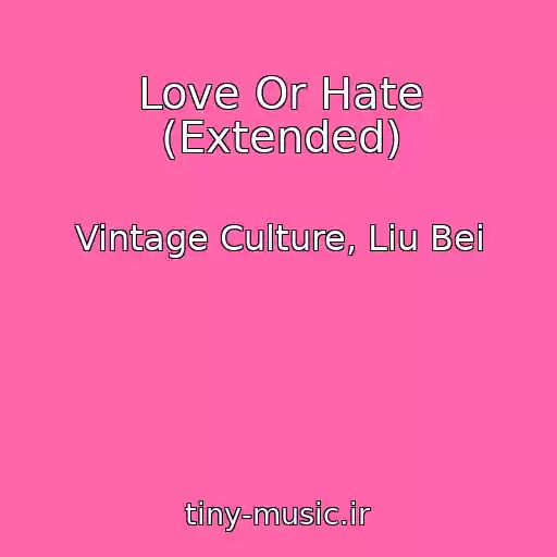 کاور آهنگ Love Or Hate (Extended) از Vintage Culture, Liu Bei