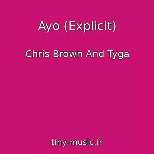 کاور آهنگ Ayo (Explicit) از Chris Brown And Tyga