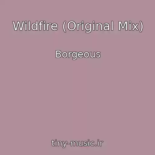 کاور آهنگ Wildfire (Original Mix) از Borgeous