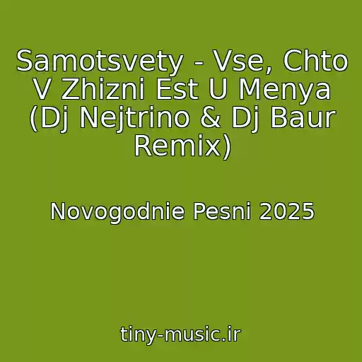 کاور آهنگ Samotsvety - Vse, Chto V Zhizni Est U Menya (Dj Nejtrino & Dj Baur Remix) از Novogodnie Pesni 2025