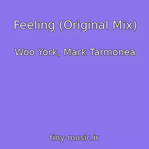 کاور آهنگ Feeling (Original Mix) از Woo York, Mark Tarmonea