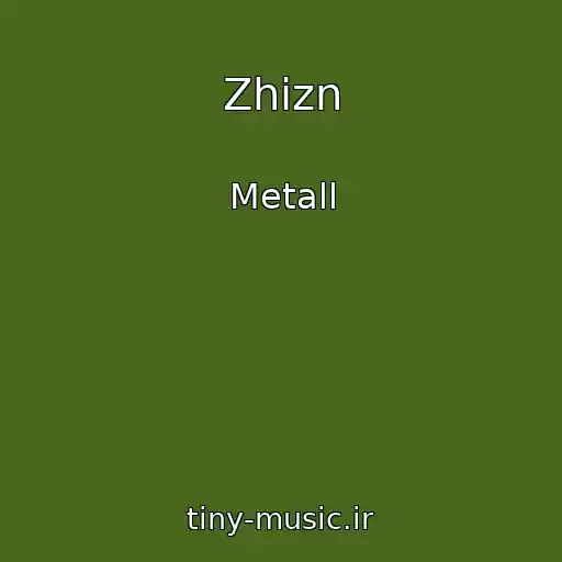 کاور آهنگ Zhizn از Metall