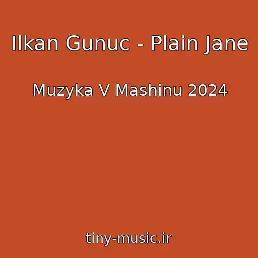 کاور آهنگ Ilkan Gunuc - Plain Jane از Muzyka V Mashinu 2024
