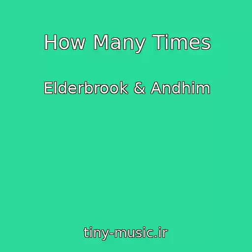 کاور آهنگ How Many Times از Elderbrook & Andhim