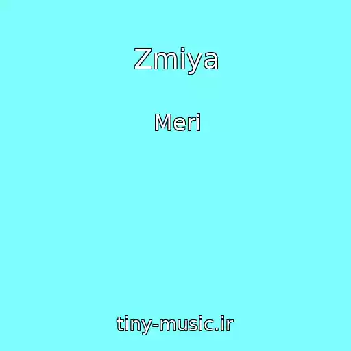 کاور آهنگ Zmіya از Merі
