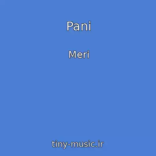 کاور آهنگ Panі از Merі