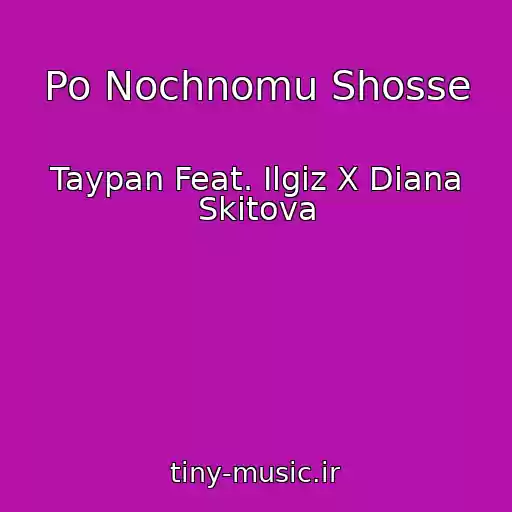 کاور آهنگ Po Nochnomu Shosse از Taypan Feat. Ilgiz X Diana Skitova