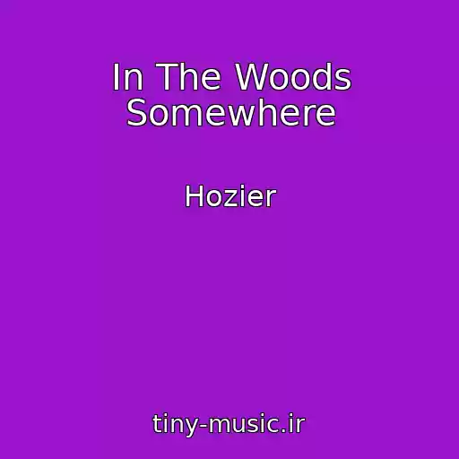 کاور آهنگ In The Woods Somewhere از Hozier