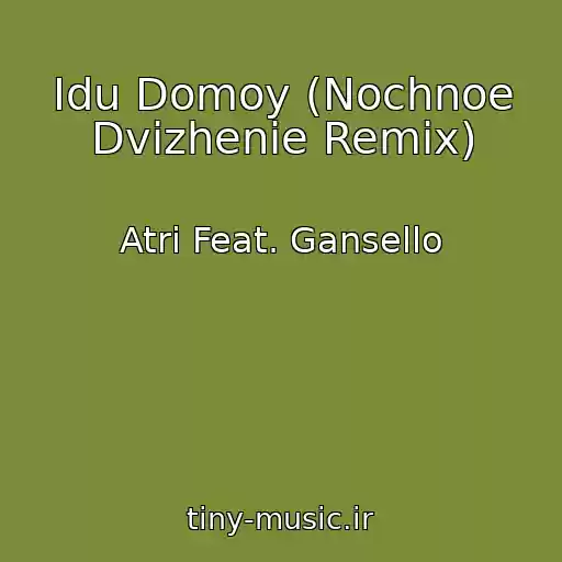 کاور آهنگ Idu Domoy (Nochnoe Dvizhenie Remix) از Atri Feat. Gansello