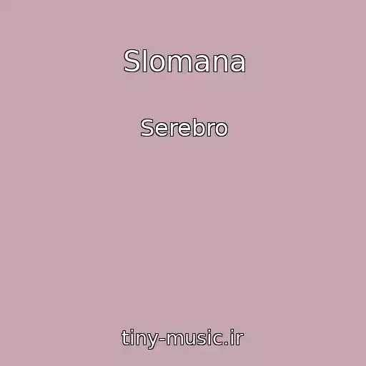 کاور آهنگ Slomana از Serebro