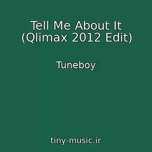 کاور آهنگ Tell Me About It (Qlimax 2012 Edit) از Tuneboy