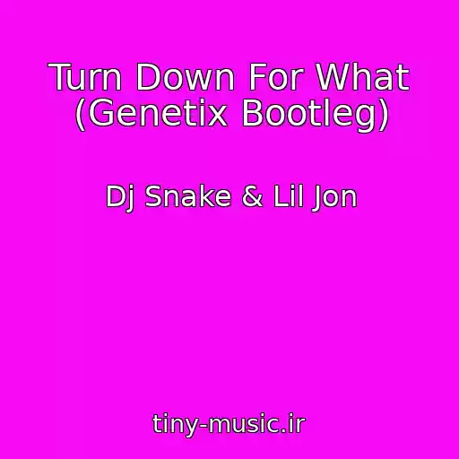 کاور آهنگ Turn Down For What (Genetix Bootleg) از Dj Snake & Lil Jon