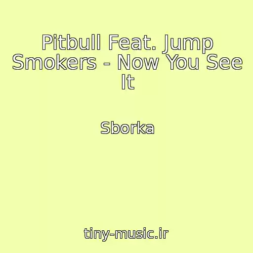کاور آهنگ Pitbull Feat. Jump Smokers - Now You See It از Sborka