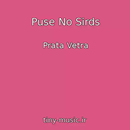 کاور آهنگ Puse No Sirds از Prata Vetra