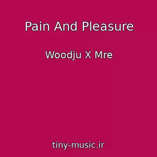 کاور آهنگ Pain And Pleasure از Woodju X Mre