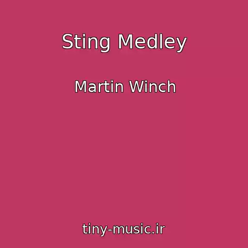 کاور آهنگ Sting Medley از Martin Winch