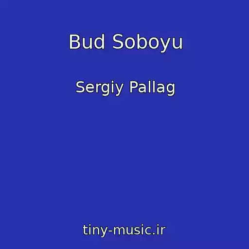 کاور آهنگ Bud Soboyu از Sergіy Pallag