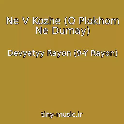 کاور آهنگ Ne V Kozhe (O Plokhom Ne Dumay) از Devyatyy Rayon (9-Y Rayon)