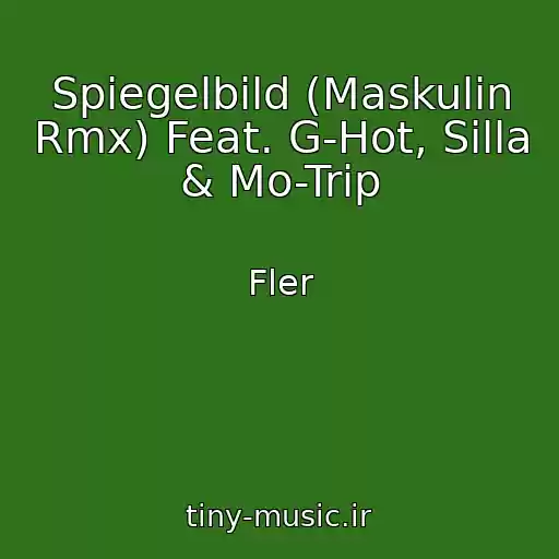 کاور آهنگ Spiegelbild (Maskulin Rmx) Feat. G-Hot, Silla & Mo-Trip از Fler