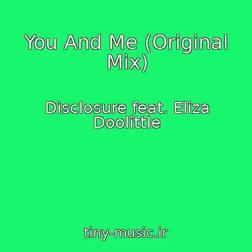 کاور آهنگ You And Me (Original Mix) از Disclosure feat. Eliza Doolittle