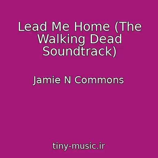 کاور آهنگ Lead Me Home (The Walking Dead Soundtrack) از Jamie N Commons