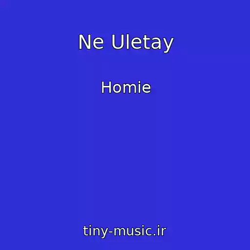کاور آهنگ Ne Uletay از Homie