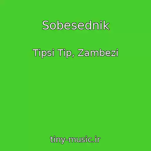 کاور آهنگ Sobesednik از Tipsi Tip, Zambezi