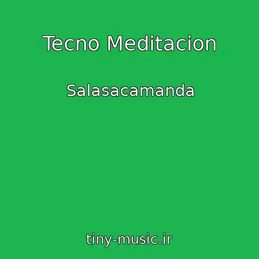 کاور آهنگ Tecno Meditacion از Salasacamanda