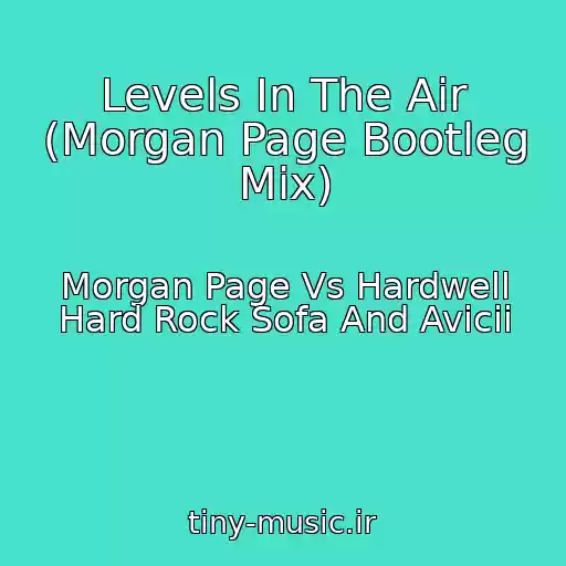 کاور آهنگ Levels In The Air (Morgan Page Bootleg Mix) از Morgan Page Vs Hardwell Hard Rock Sofa And Avicii