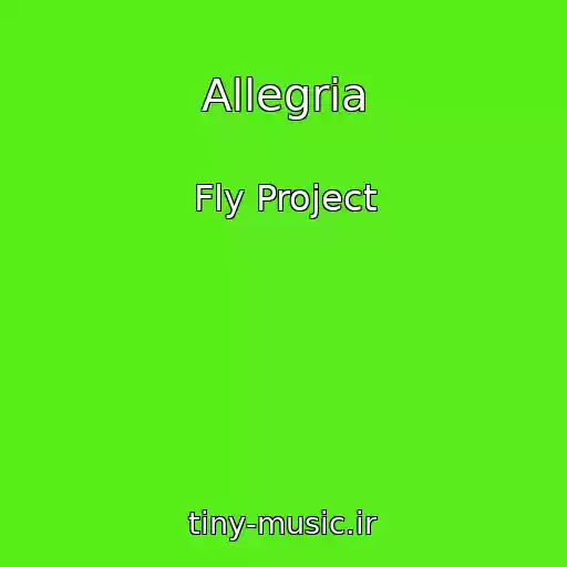کاور آهنگ Allegria از Fly Project