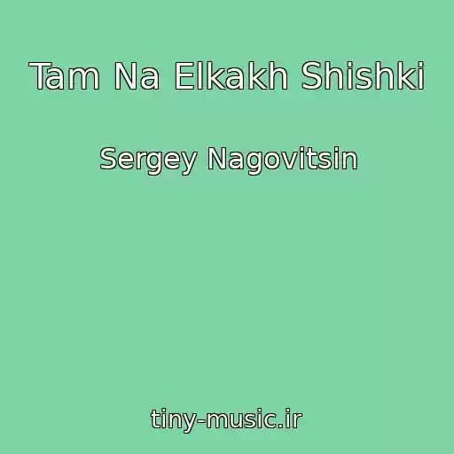 کاور آهنگ Tam Na Elkakh Shishki از Sergey Nagovitsin