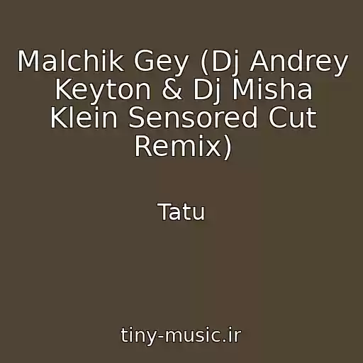 کاور آهنگ Malchik Gey (Dj Andrey Keyton & Dj Misha Klein Sensored Cut Remix) از Tatu