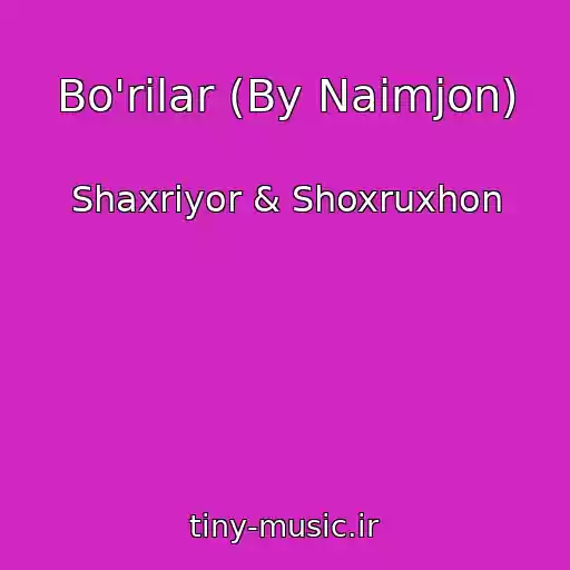 کاور آهنگ Bo'rilar (By Naimjon) از Shaxriyor & Shoxruxhon