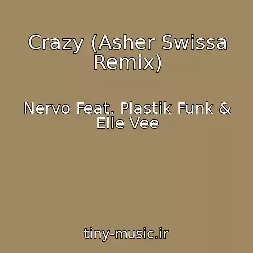 کاور آهنگ Crazy (Asher Swissa Remix) از Nervo Feat. Plastik Funk & Elle Vee